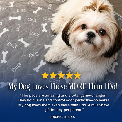 🐾 Lovevel™ Last Pee Pad