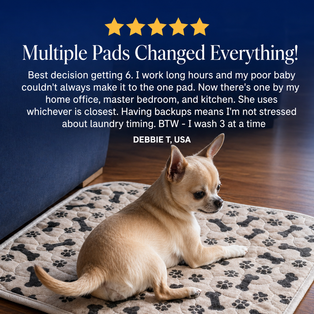 🐾 Lovevel™ Last Pee Pad