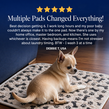 🐾 Lovevel™ Last Pee Pad