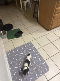 My Puppy Went Straight To It!