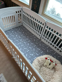 Perfect For My Senior Dog
