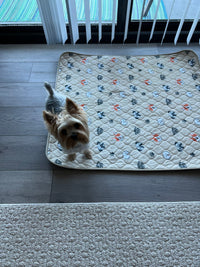 My Yorkie Used It Immediately