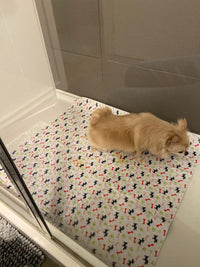 My Puppy Used It Right Away