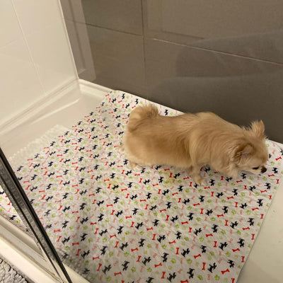My Puppy Used It Right Away