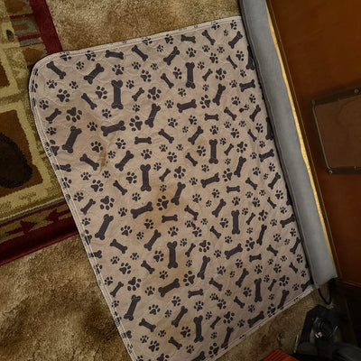 Looks Cute And Works Great